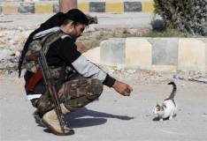 Once loved innocent victims of war