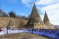Yazidi2 8 March.jpg
