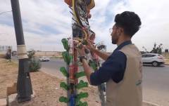 Kirkuk tree