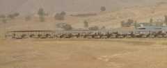 peshmerga
