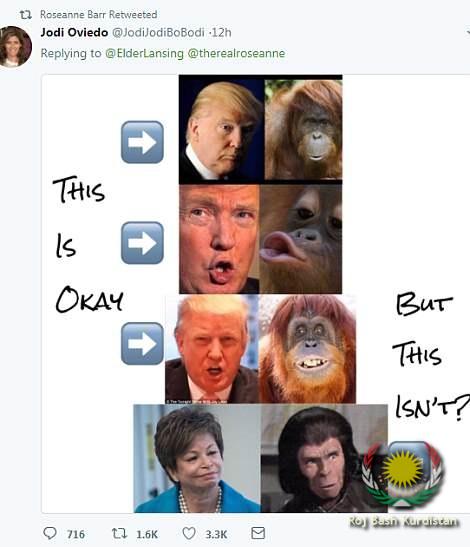 Trump.Gorilla